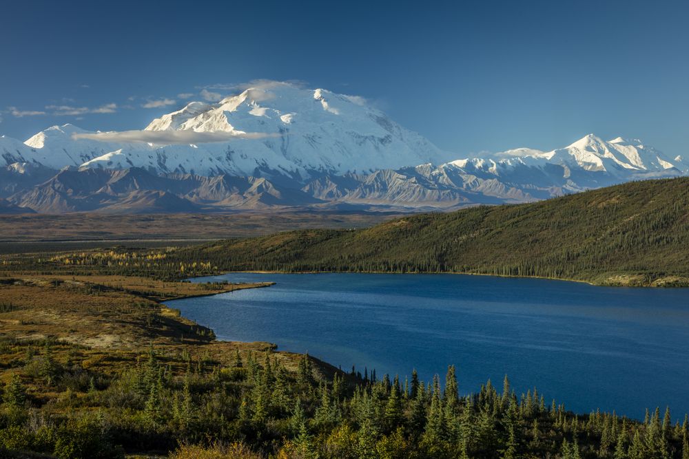 Scenic view of Denali National Park & Preserve