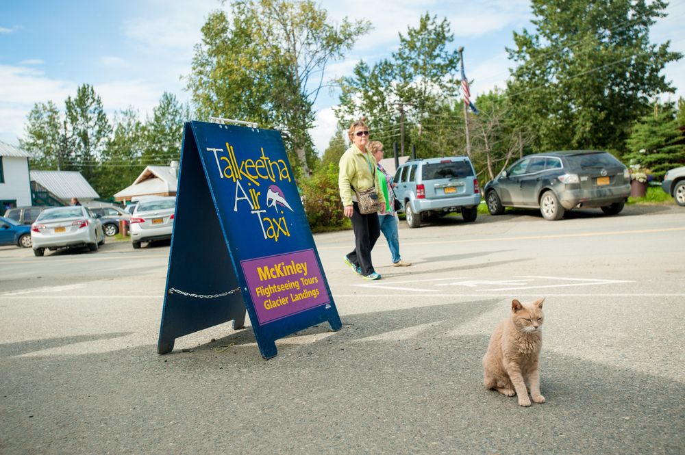 Signage of Talkeetna Air Taxi