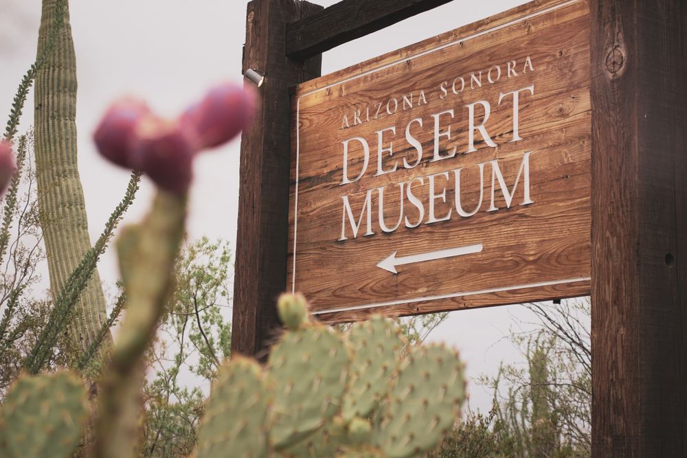 Welcome sign of Arizona-Sonora Desert Museum