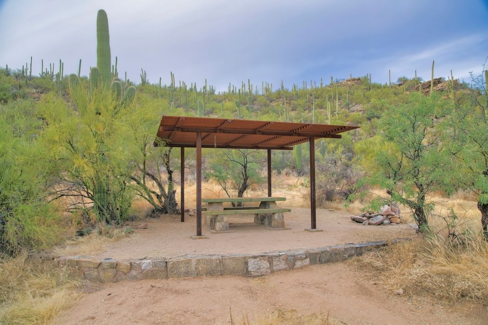 Picnic area at Sabino Canyon Recreation Area