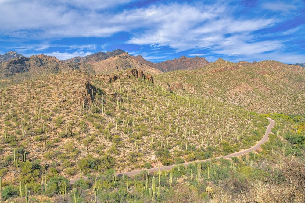 Aerial view of Sabino Canyon Recreation Area