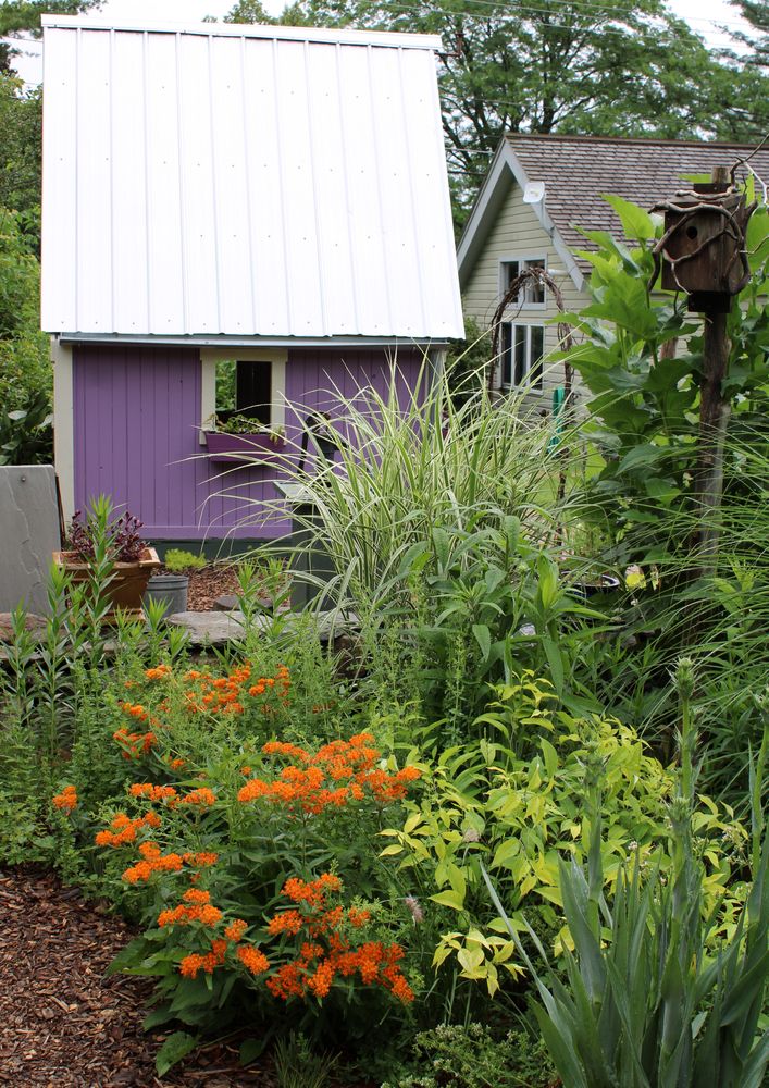 Playhouse surrounded with plants at Berkshire Botanical Garden