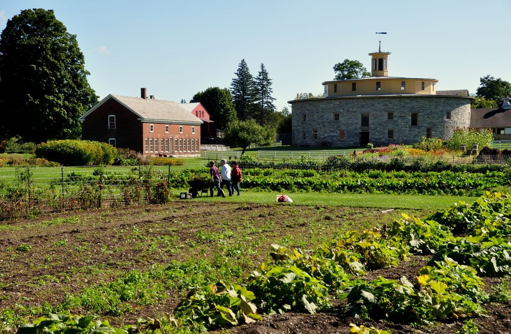 Vegetable garden at Hancock Shaker Village