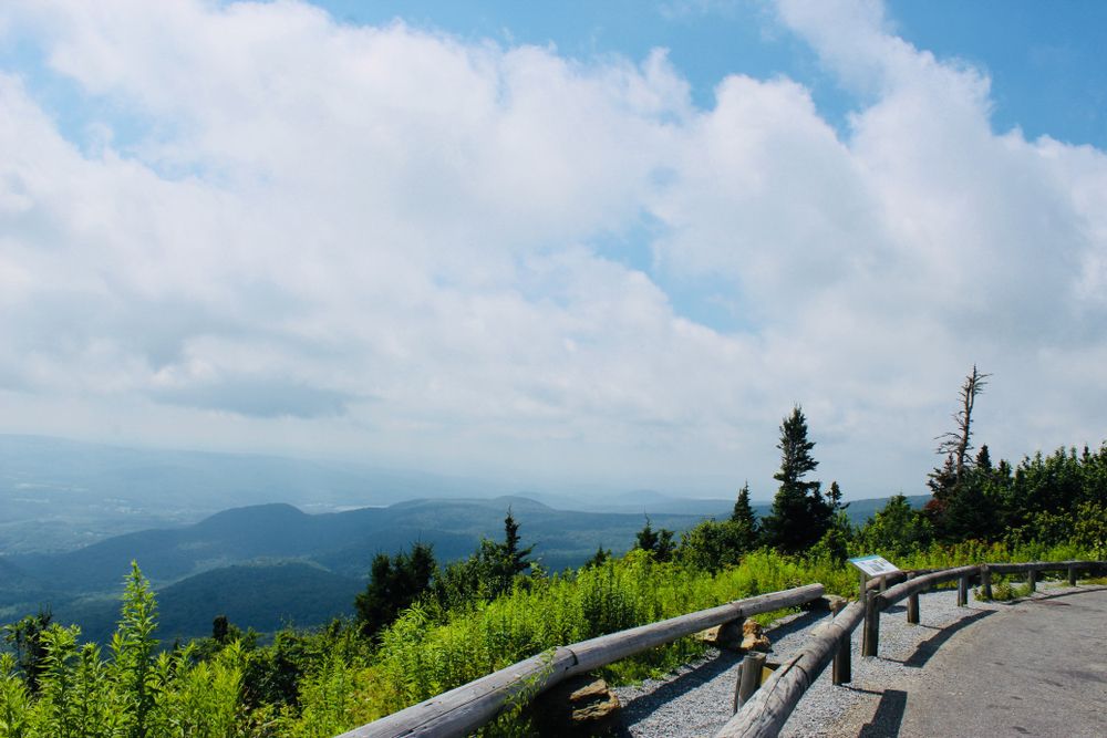 Scenic view from Mt. Greylock summit