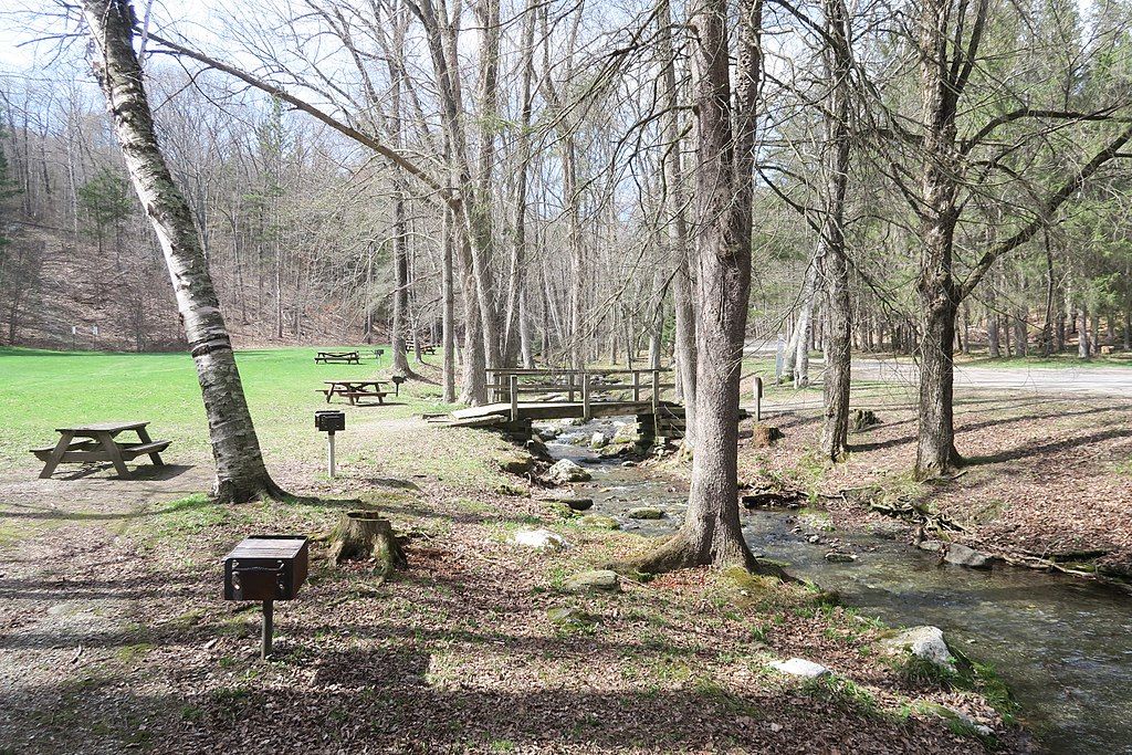 Picnic tables at Pittsfield State Forest grounds