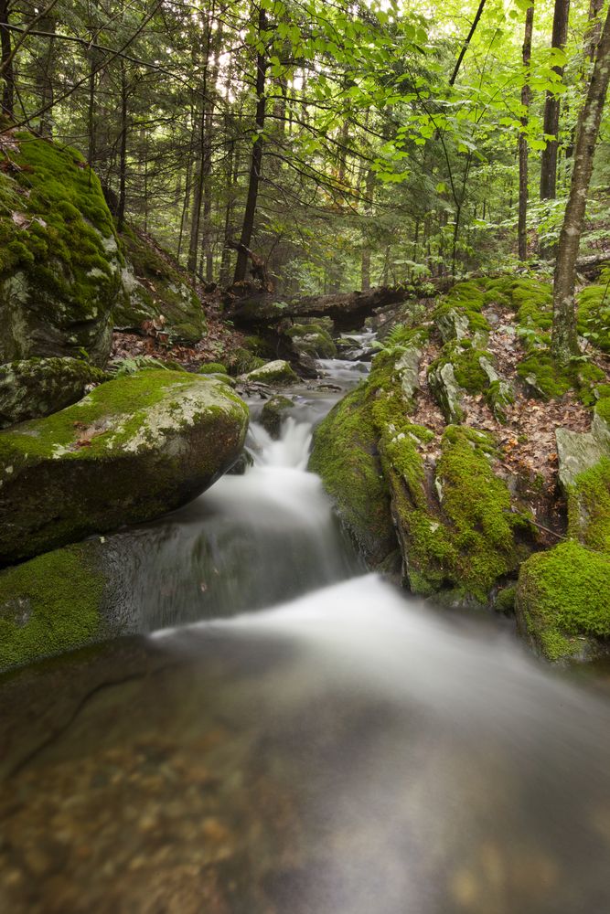 Lulu brook at Pittsfield State Forest