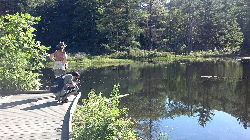 People taking pictures at Pleasant Valley Wildlife sanctuary