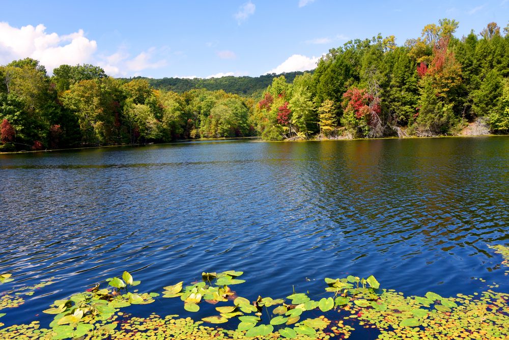 The waters of Bays Mountain Park and Planetarium