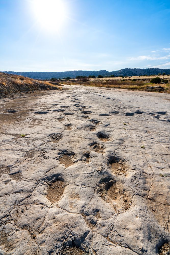 Dinosaur tracks at Comanche National Grassland