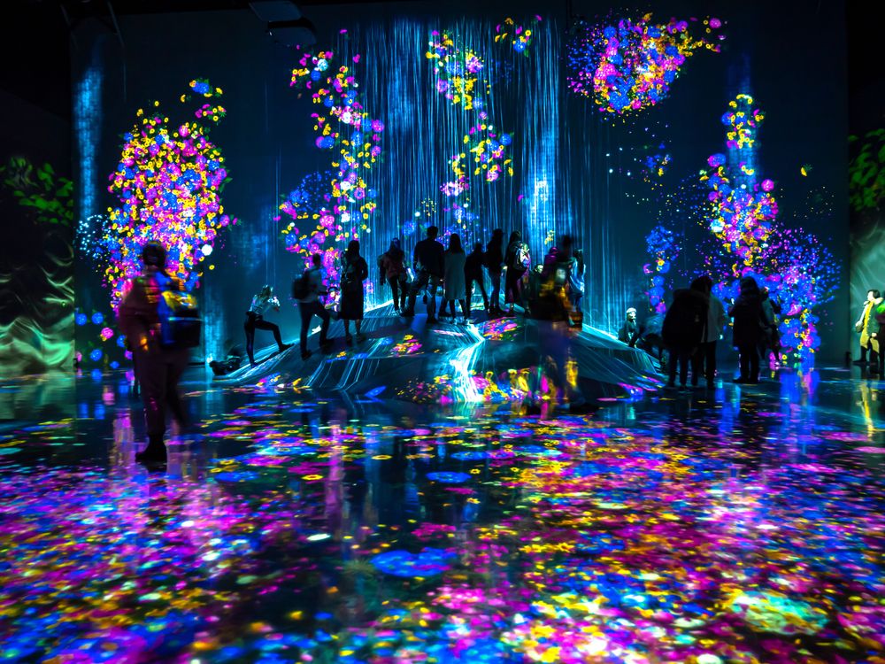 TeamLab Borderless