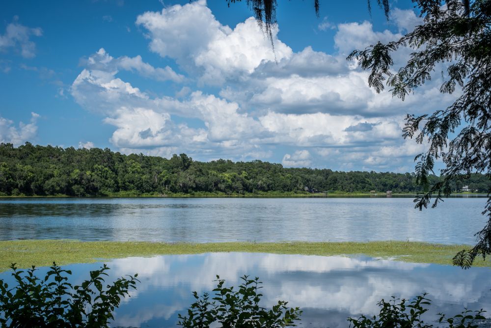 View of a lake from Alfred B. Maclay Gardens State Park