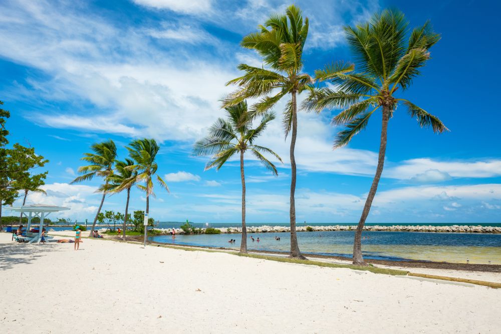 Tall trees and white sand of Harry Harris Park