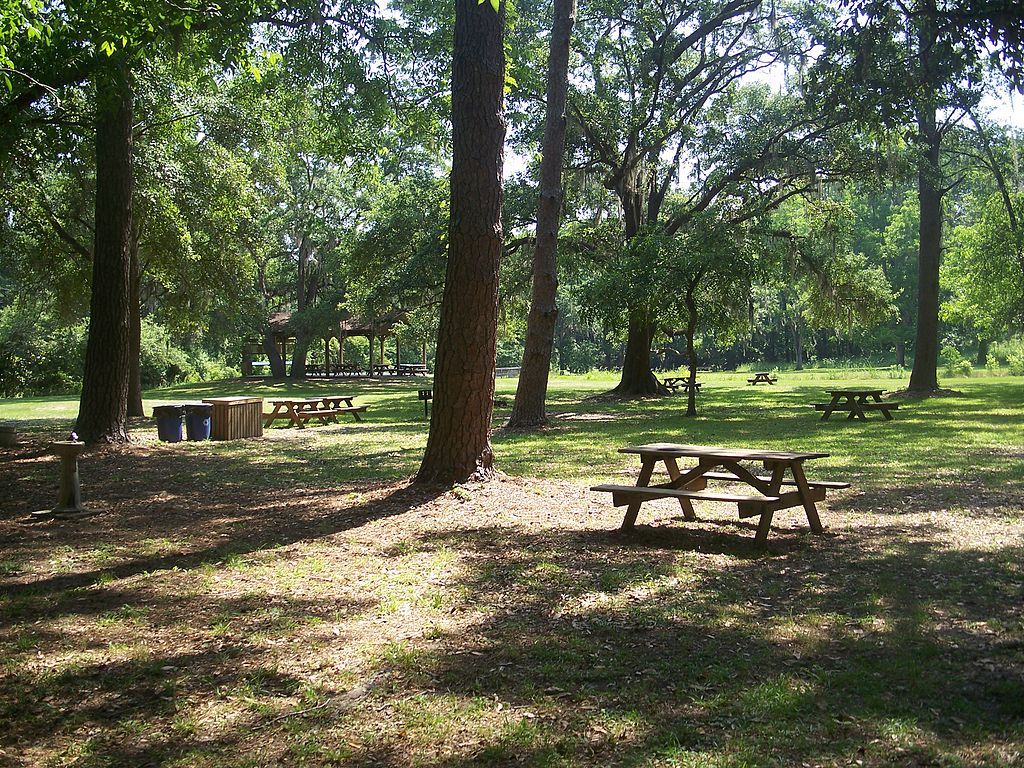 Picnic tables at Lake Jackson Mounds Archaeological State Park