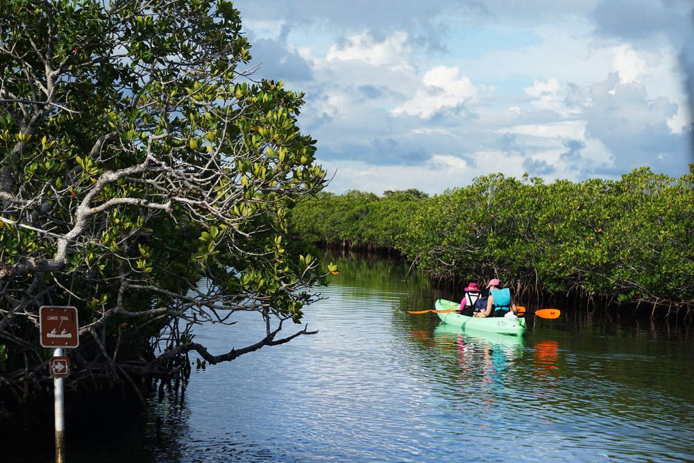 Kayaking along Key West