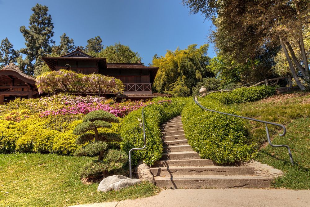 the Huntington