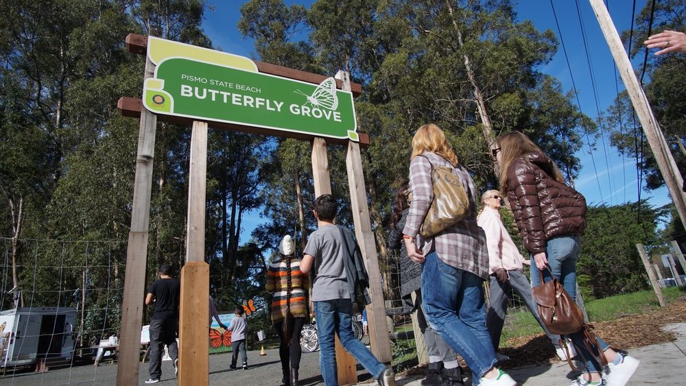 Entrance to the Monarch Butterfly Grove