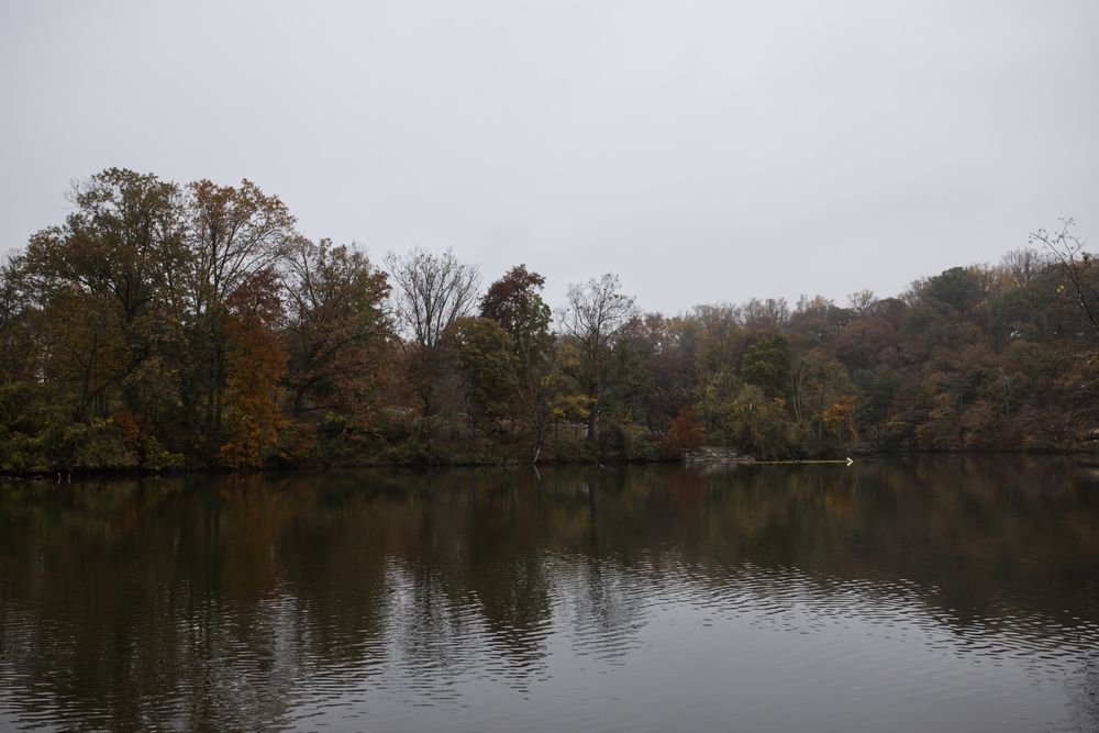 The waters of Lake Roland