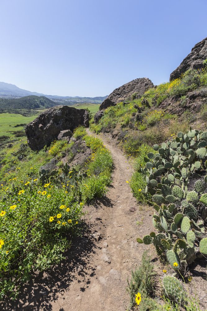 Hillside trail at Wildwood Regional Park
