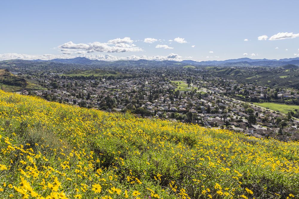 View of the city from Wildwood Regional Park