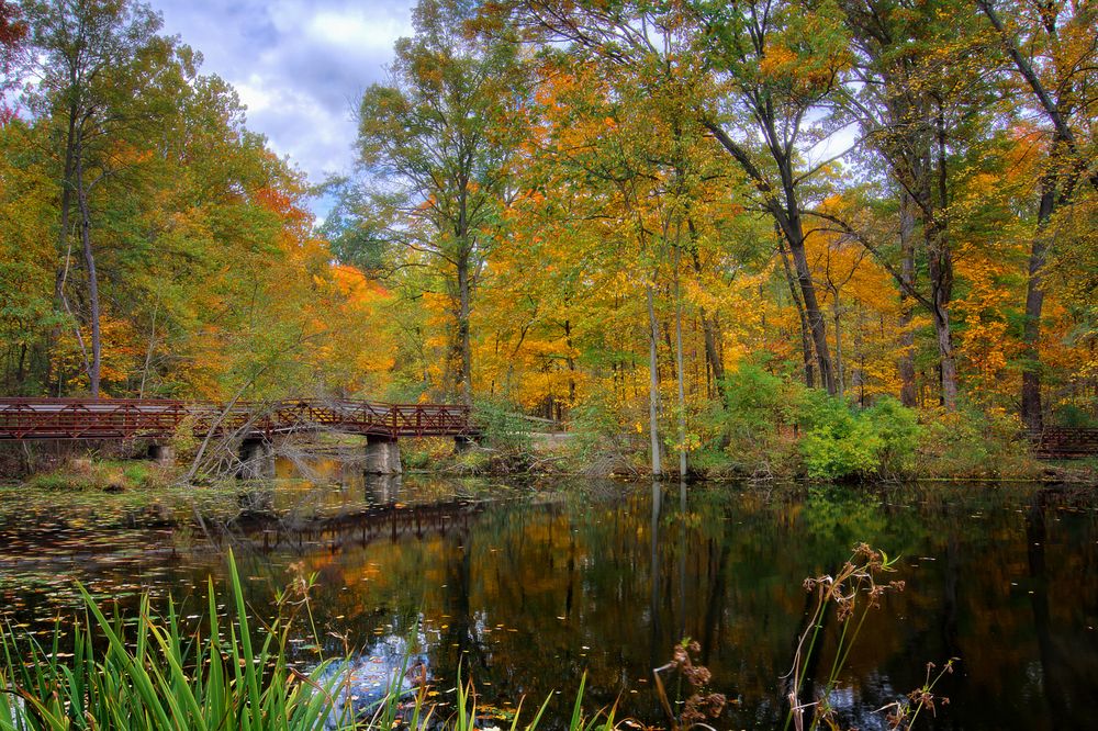 A lake at Oak Openings Preserve