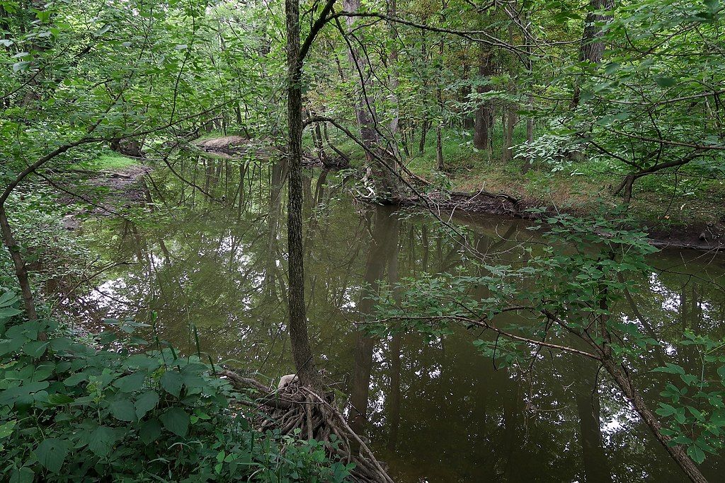 Ottawa river at Wildwood Preserve Metropark