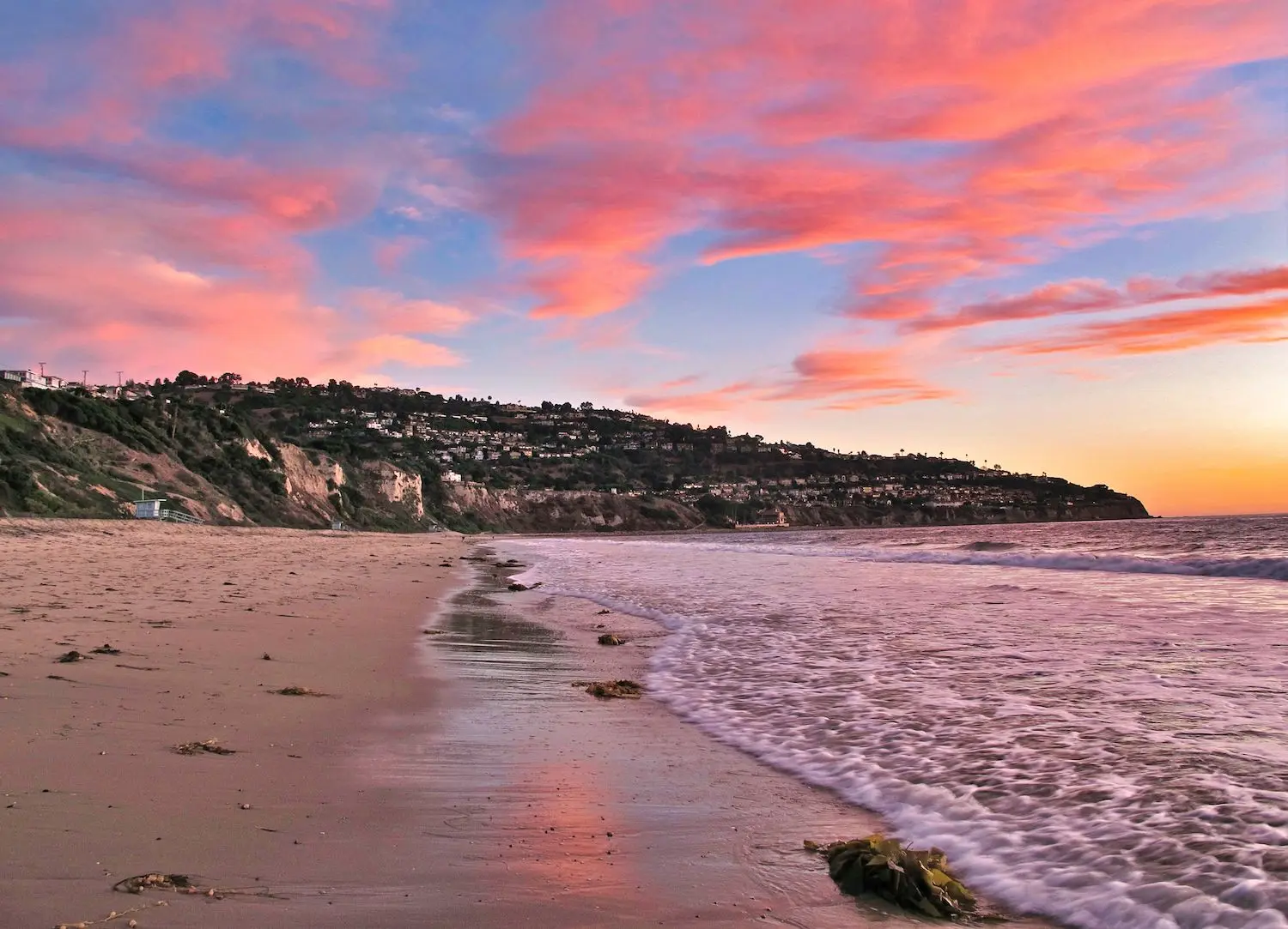 16 Free Things to Do in Torrance, CA