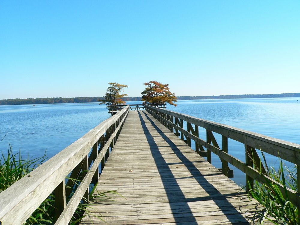 Keystone point at Reelfoot Lake