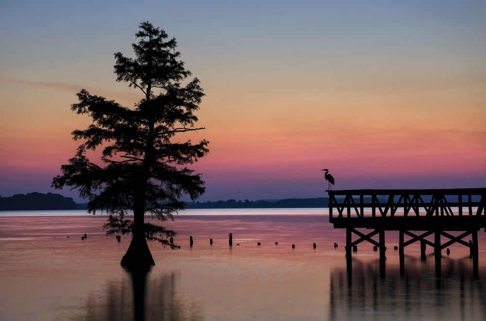 Scenic sunset over Reelfoot Lake State Park