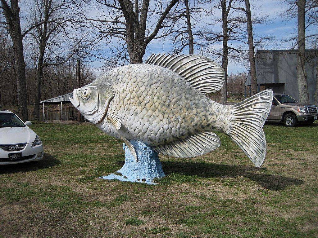 A fish sculpture on the grounds of Reelfoot Lake State Park
