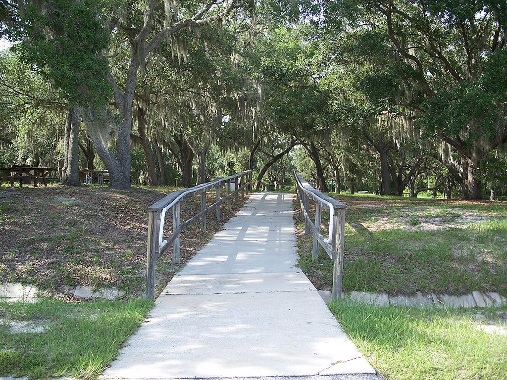 Trail at Lake Griffin State Park