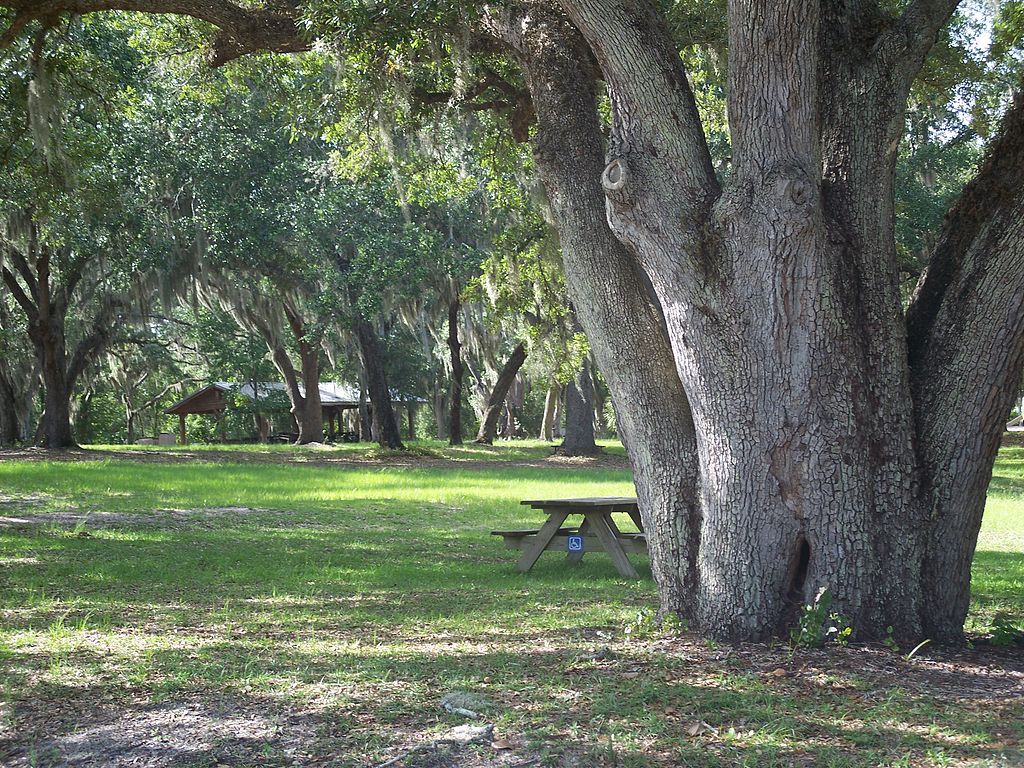 Picnic table on the grounds of Lake Griffin State Park