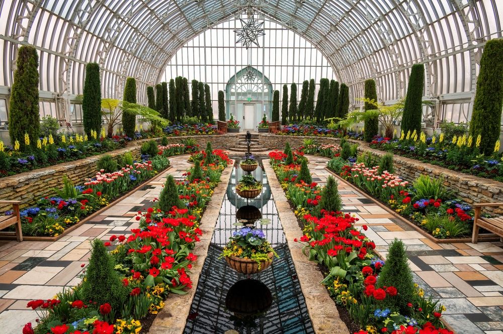 Beautiful flowers inside the Como Park Conservatory