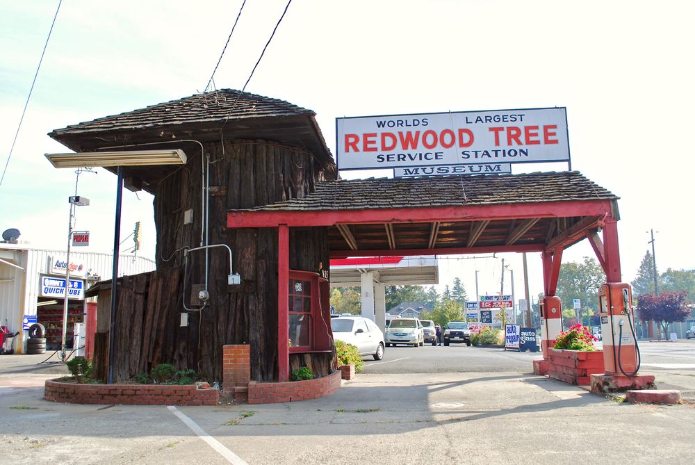Exterior of the Redwood Tree Service Station