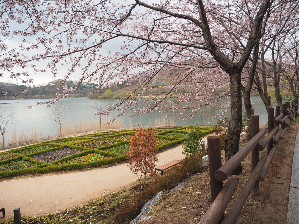 Scenic view of Seonam Lake Park