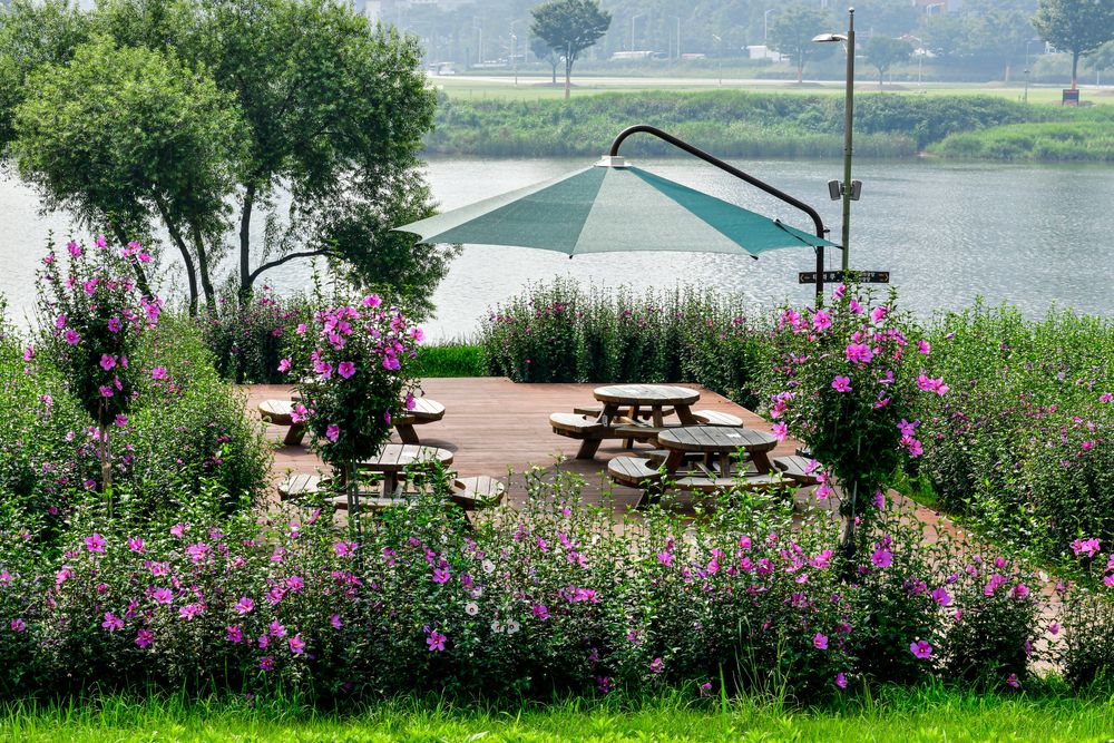Round picnic tables at Taehwagang National Garden