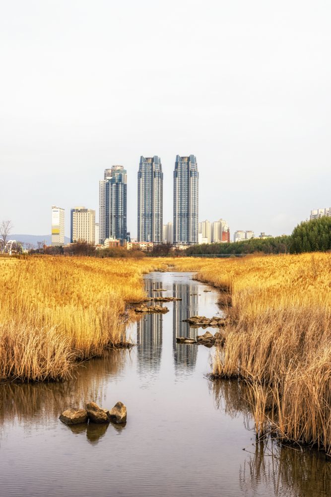 The waters of Taehwagang River Grand Park