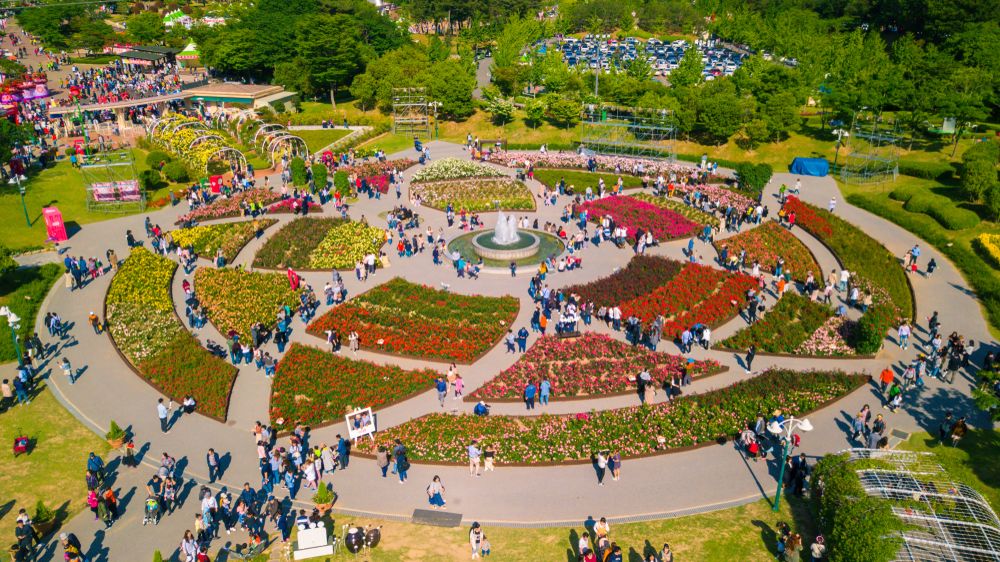 Aerial view of Ulsan Grand Park