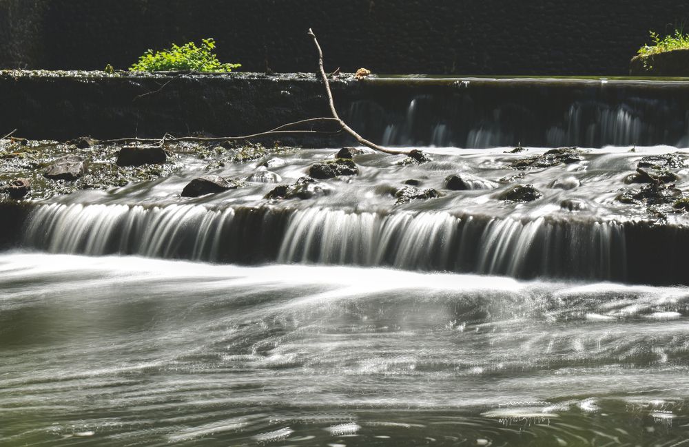 Stream at Echo Lake Park