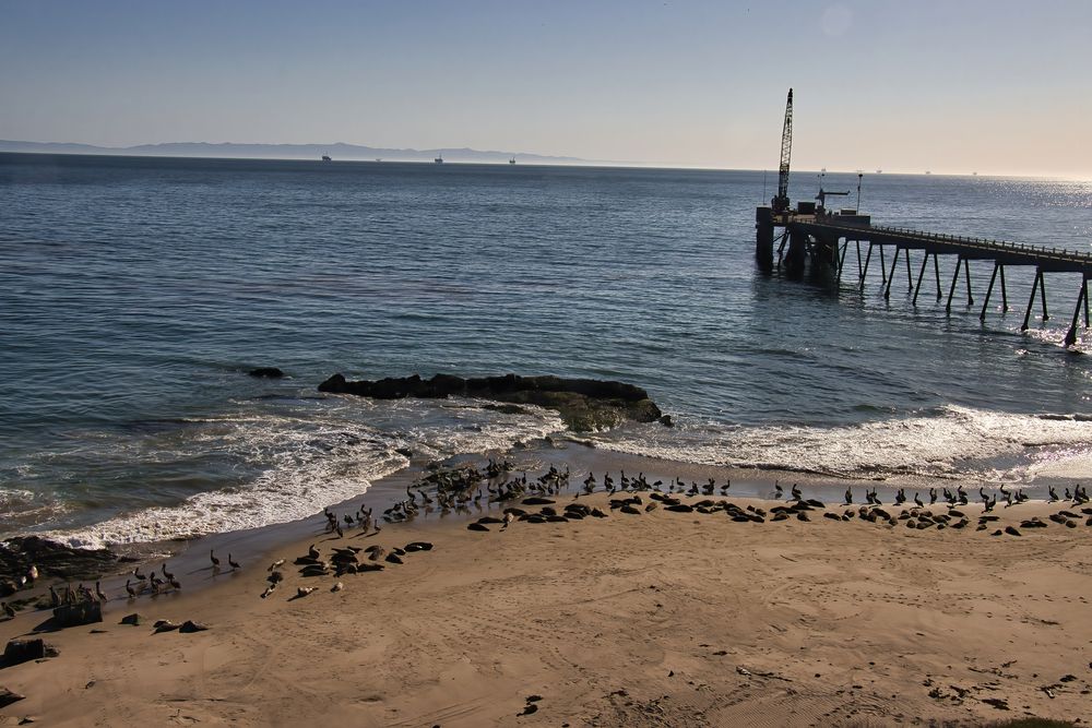 View of Carpinteria Seal Sanctuary
