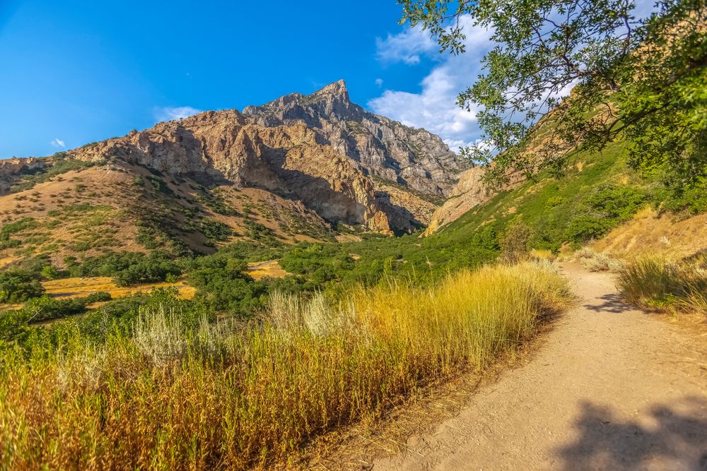 Trail at Rock Canyon