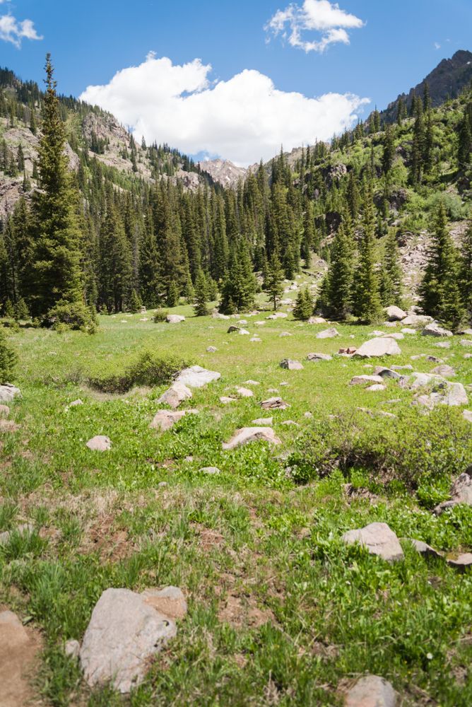Nature hiking trail at Booth Falls Trail