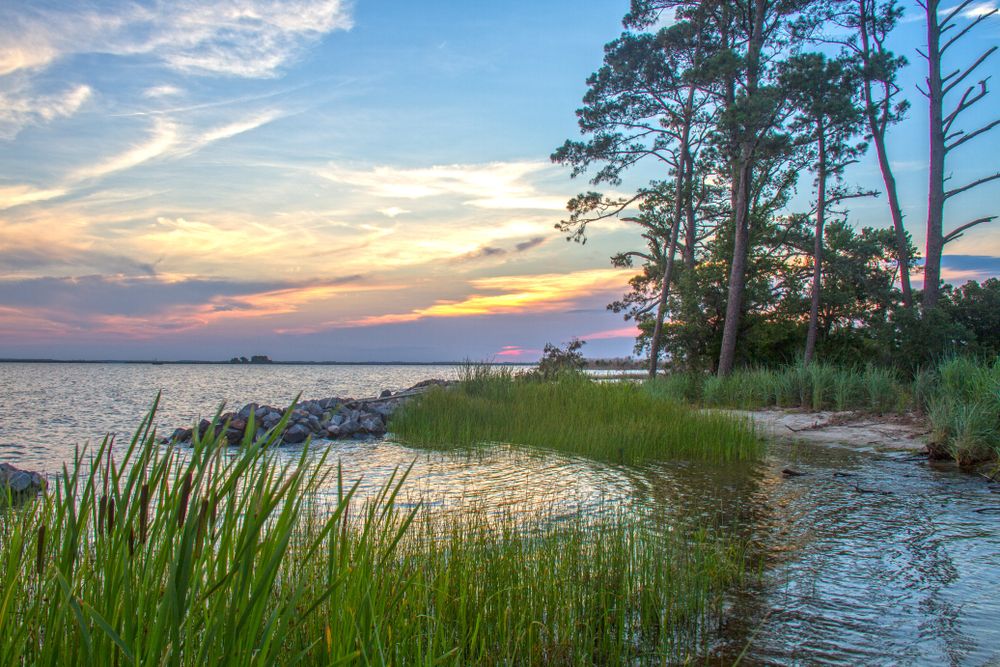 The waters of False Cape State Park
