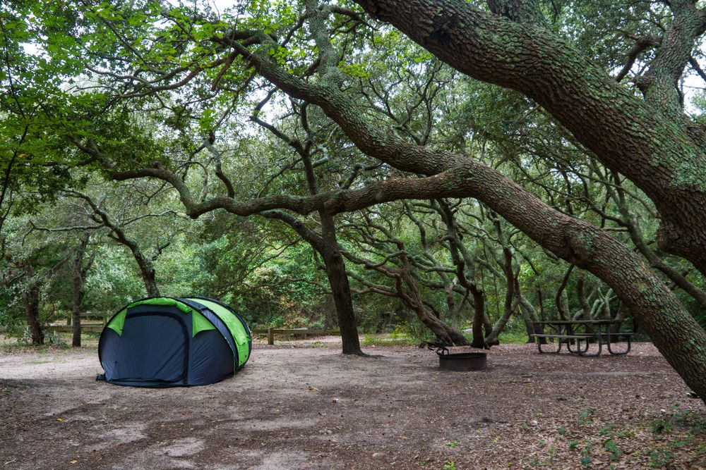 Camping at the First Landing State Park