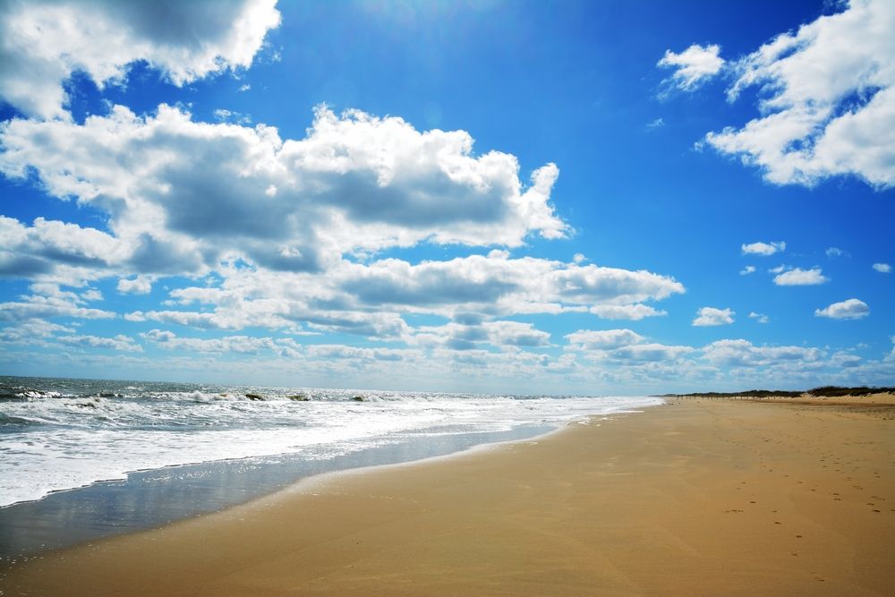 Sunny day at Sandbridge Beach