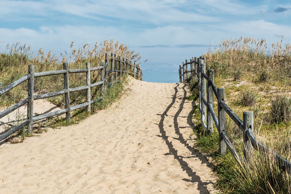 Sand trail leading to Sandbridge Beach