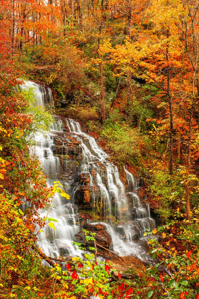 Autumn trees surrounding Issaqueena Falls