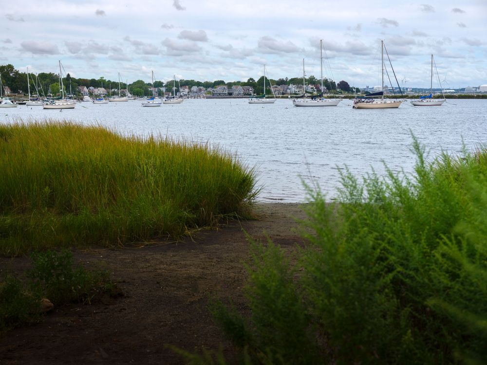 View of a marina from Salter Grove Memorial Park