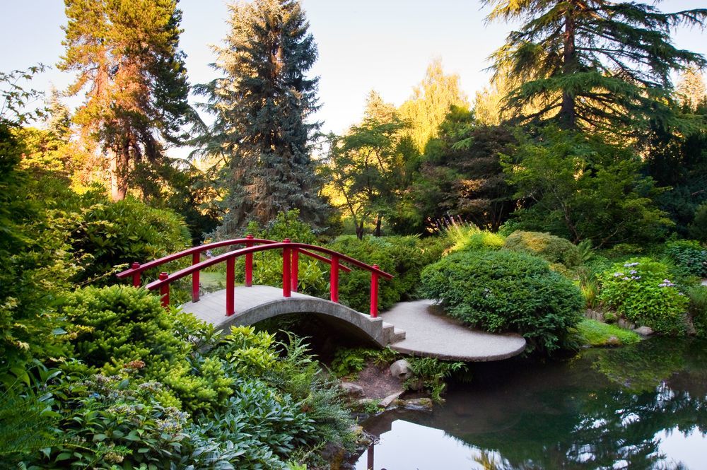 Washington Park Arboretum