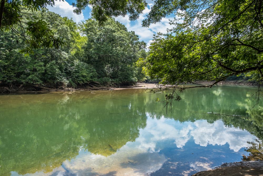 Calm waters of Chattahoochee River