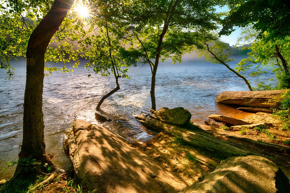 Scenic view of Chattahoochee River